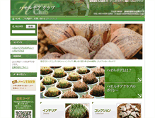 Tablet Screenshot of haworthia.co.jp