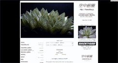 Desktop Screenshot of haworthia.jp